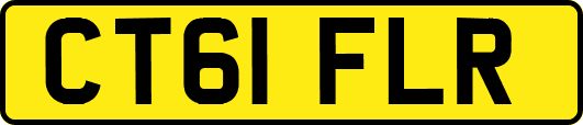 CT61FLR