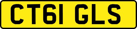 CT61GLS
