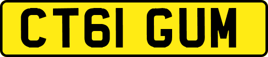 CT61GUM