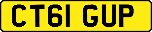 CT61GUP