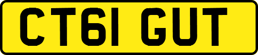 CT61GUT