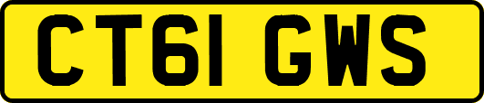 CT61GWS