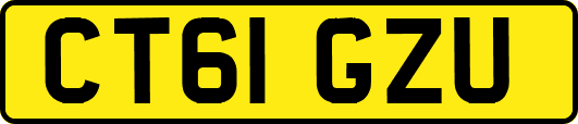 CT61GZU
