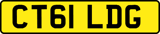 CT61LDG