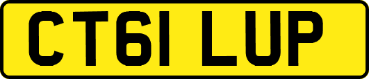 CT61LUP