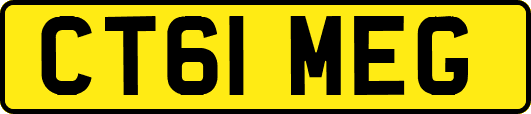CT61MEG