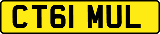CT61MUL
