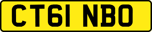 CT61NBO