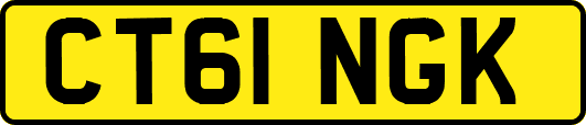 CT61NGK