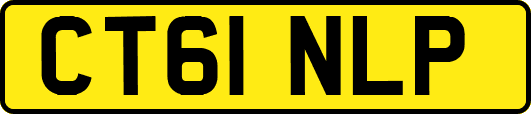 CT61NLP
