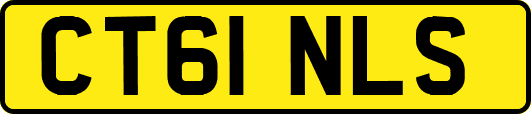 CT61NLS