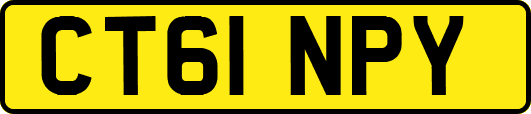 CT61NPY