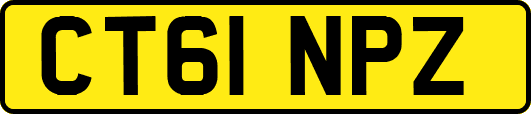 CT61NPZ