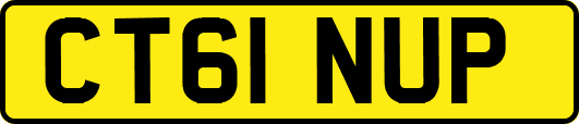 CT61NUP
