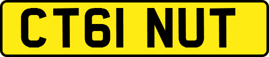 CT61NUT