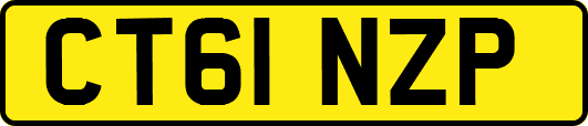 CT61NZP