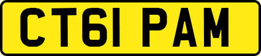 CT61PAM