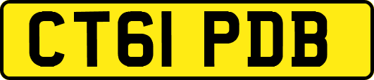 CT61PDB