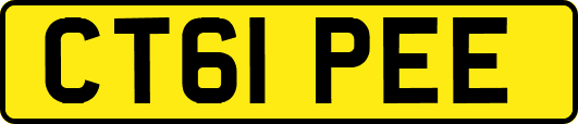 CT61PEE