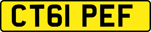CT61PEF