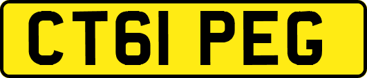 CT61PEG