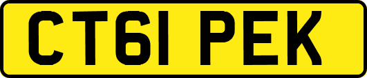 CT61PEK