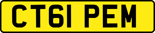 CT61PEM