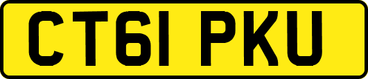 CT61PKU