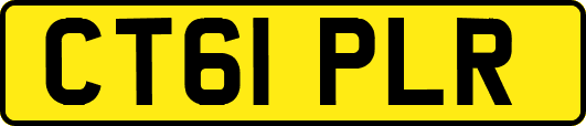 CT61PLR