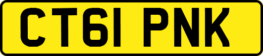 CT61PNK
