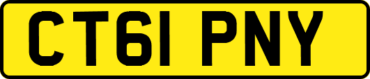 CT61PNY