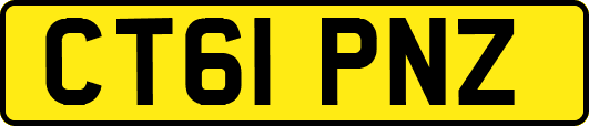 CT61PNZ