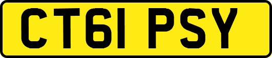 CT61PSY