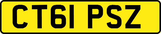 CT61PSZ