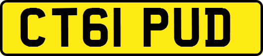 CT61PUD