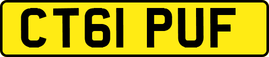 CT61PUF