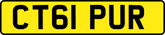 CT61PUR