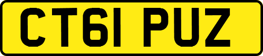 CT61PUZ