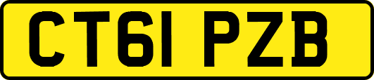 CT61PZB