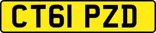 CT61PZD
