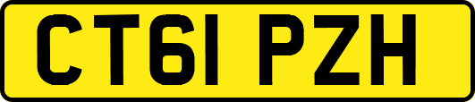 CT61PZH