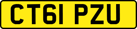 CT61PZU