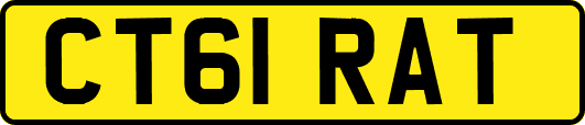 CT61RAT