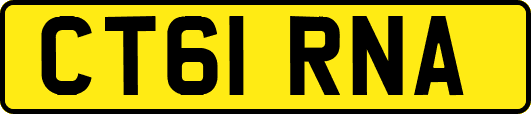 CT61RNA