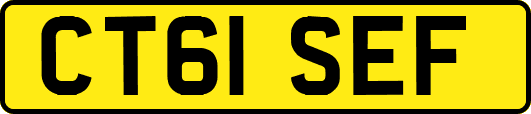 CT61SEF