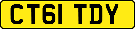CT61TDY
