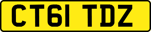 CT61TDZ
