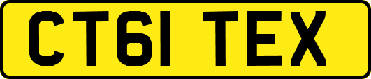 CT61TEX