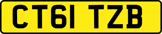 CT61TZB