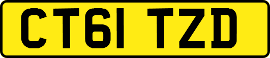 CT61TZD